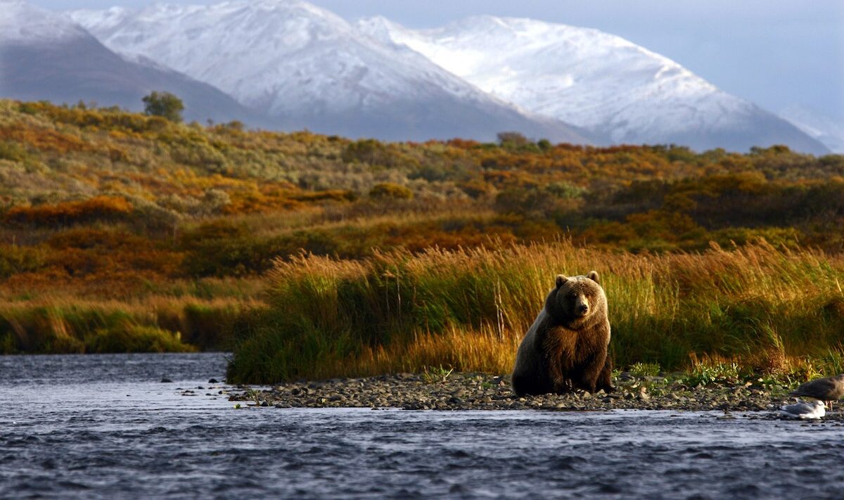 An Alaskan Island Goes 100% Renewable