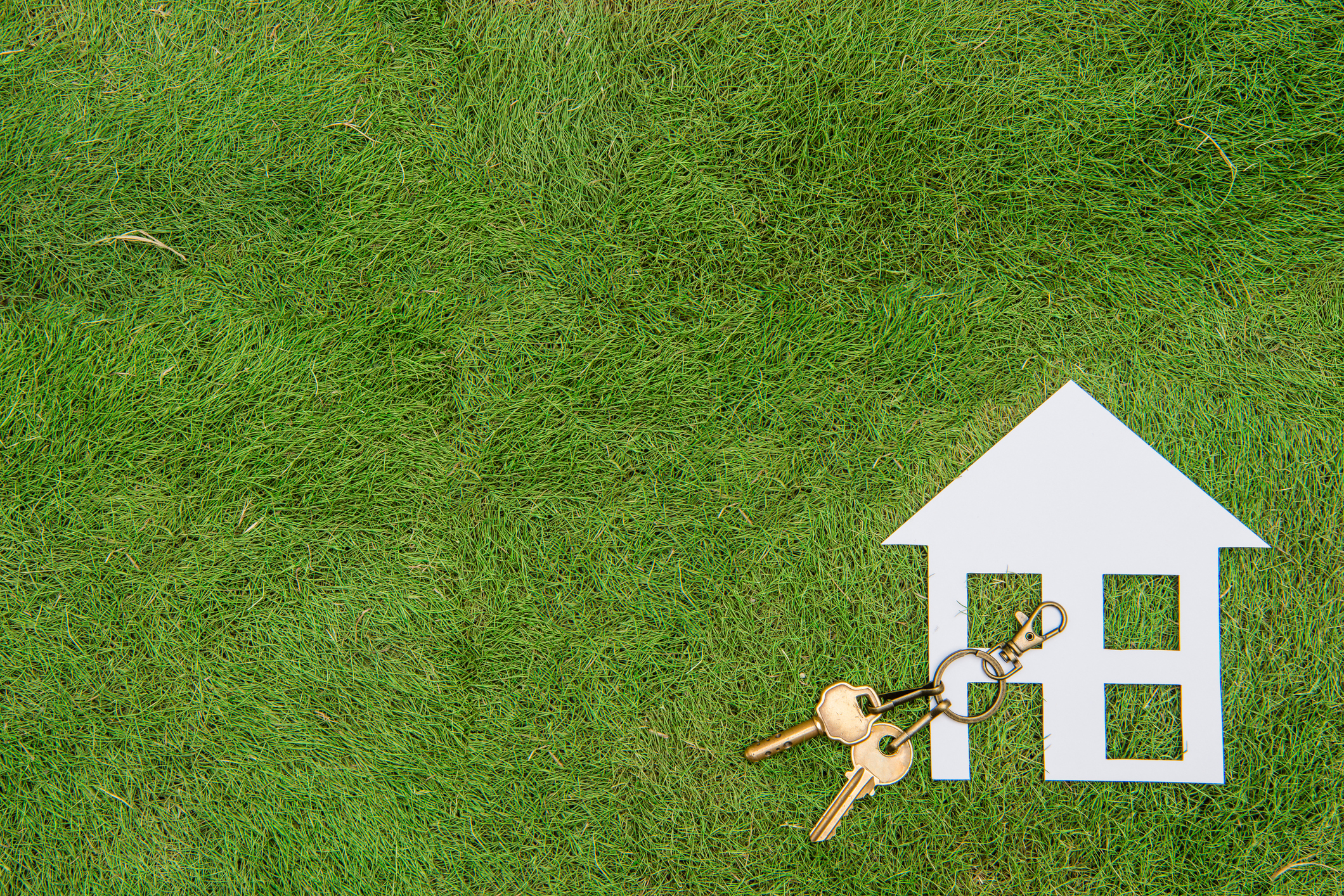 Setting the PACE for Consumer Protection