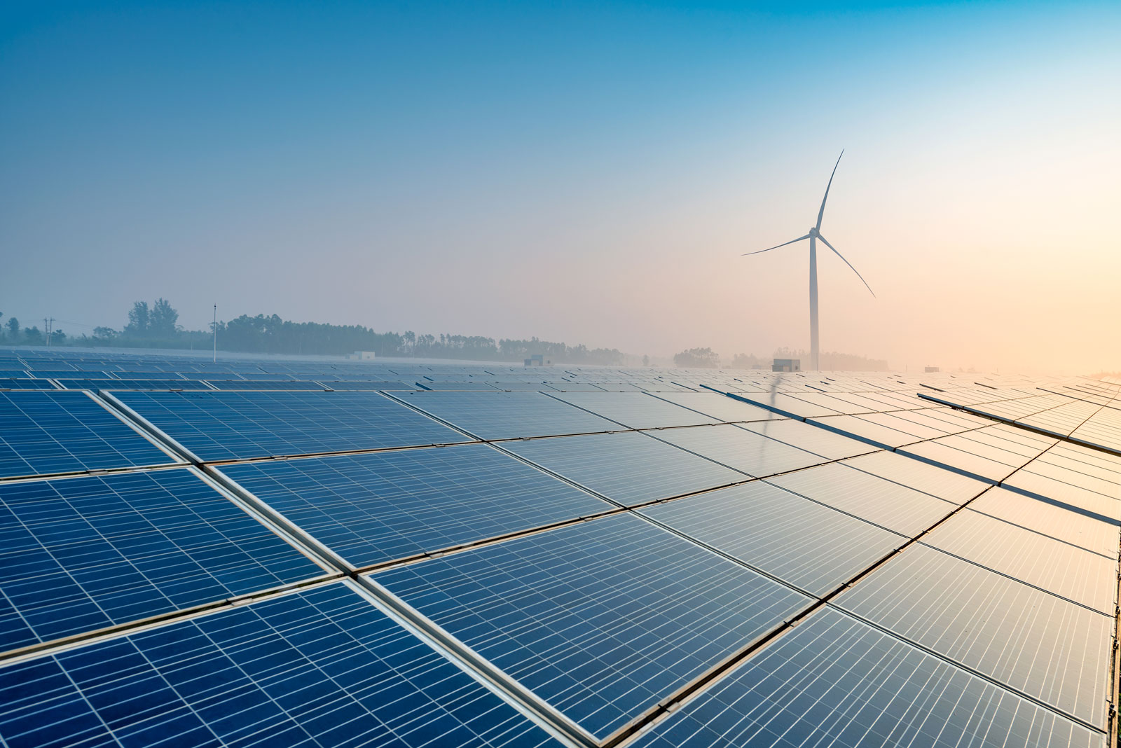 Germany’s Renewables Revolution