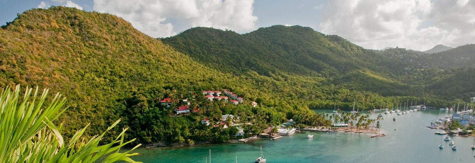 Saint Lucia Case Study