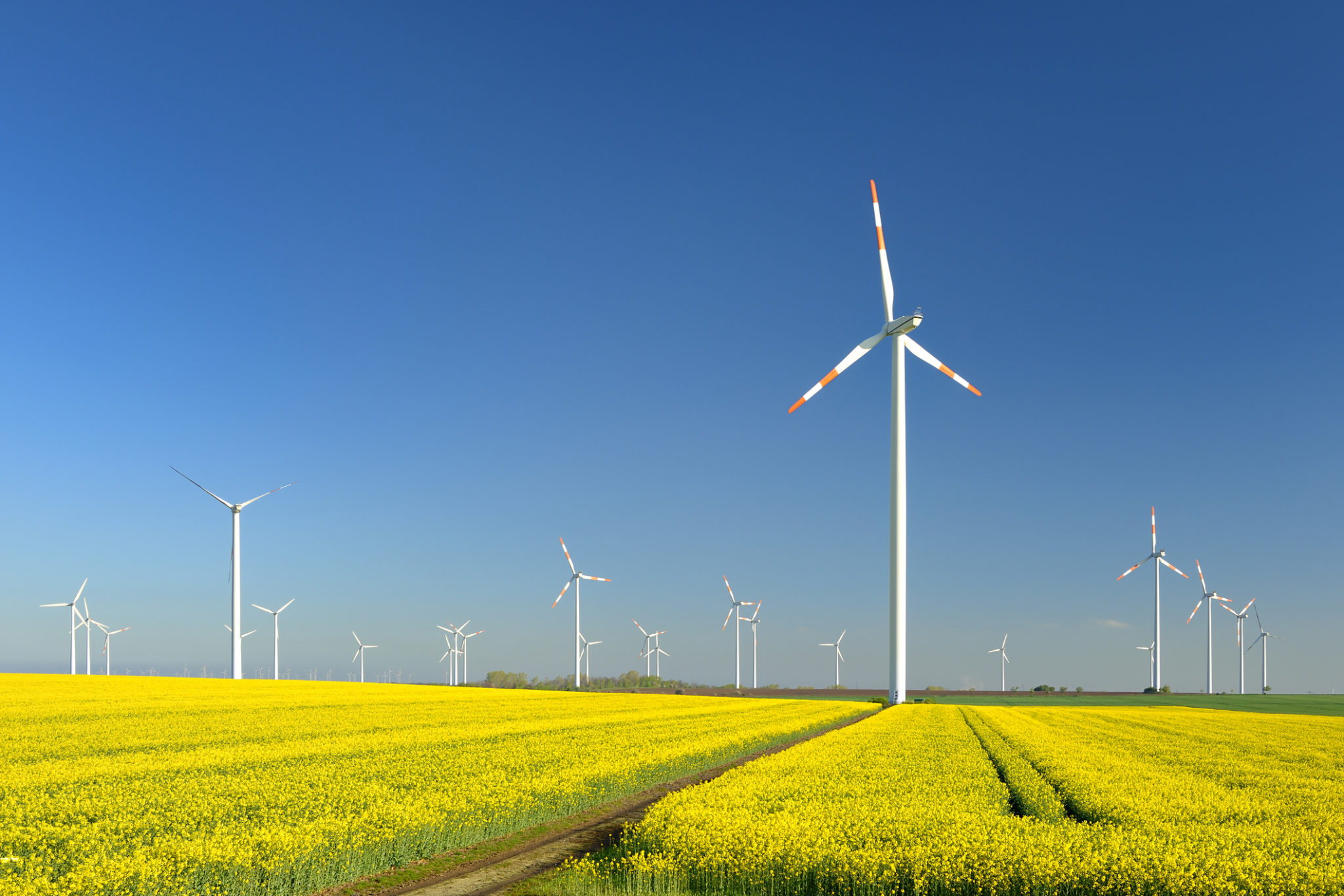 35 Years of Bold Steps in the Clean Energy Race: Part 2