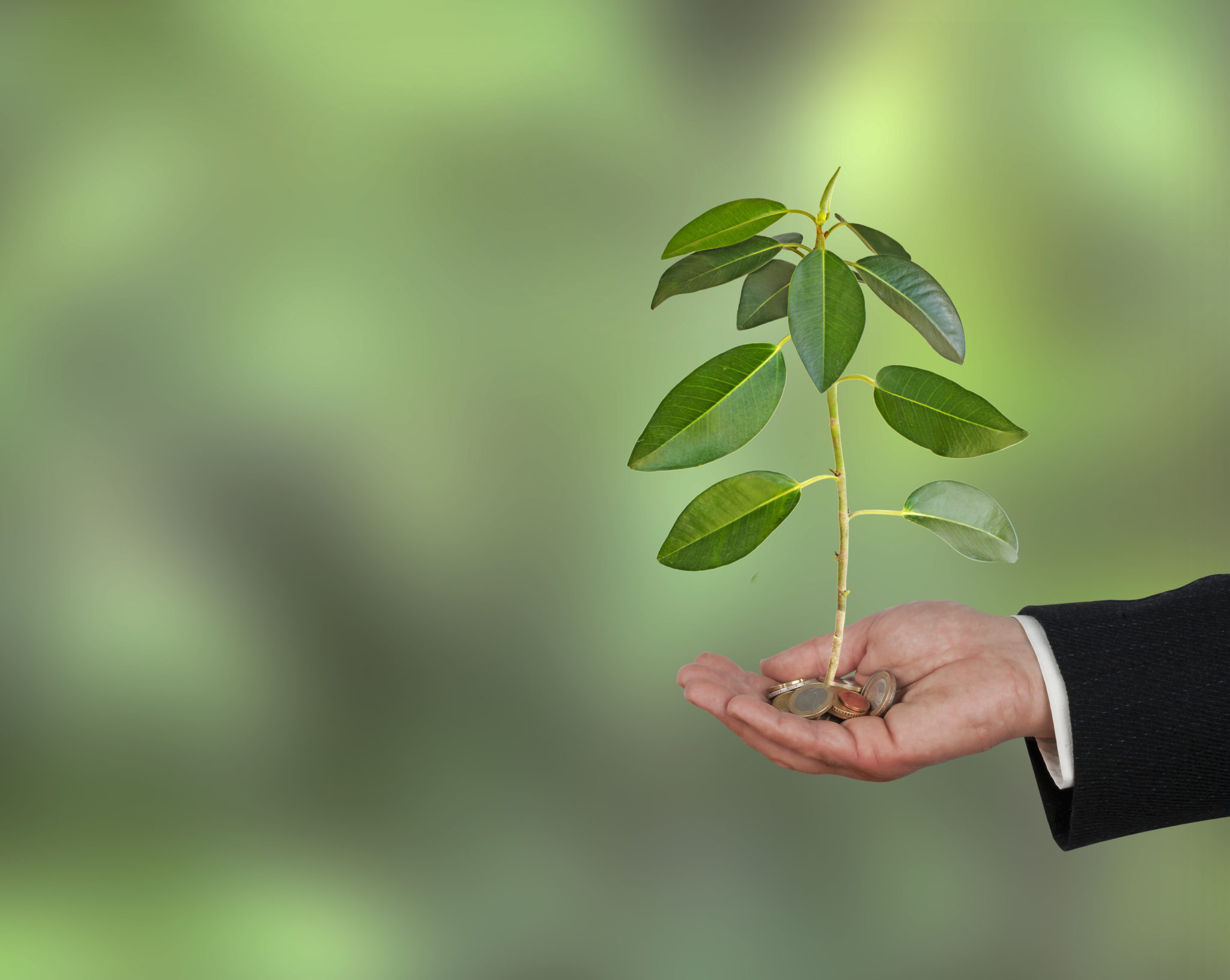Understanding the Innovation Dividend of Clean Energy Investment