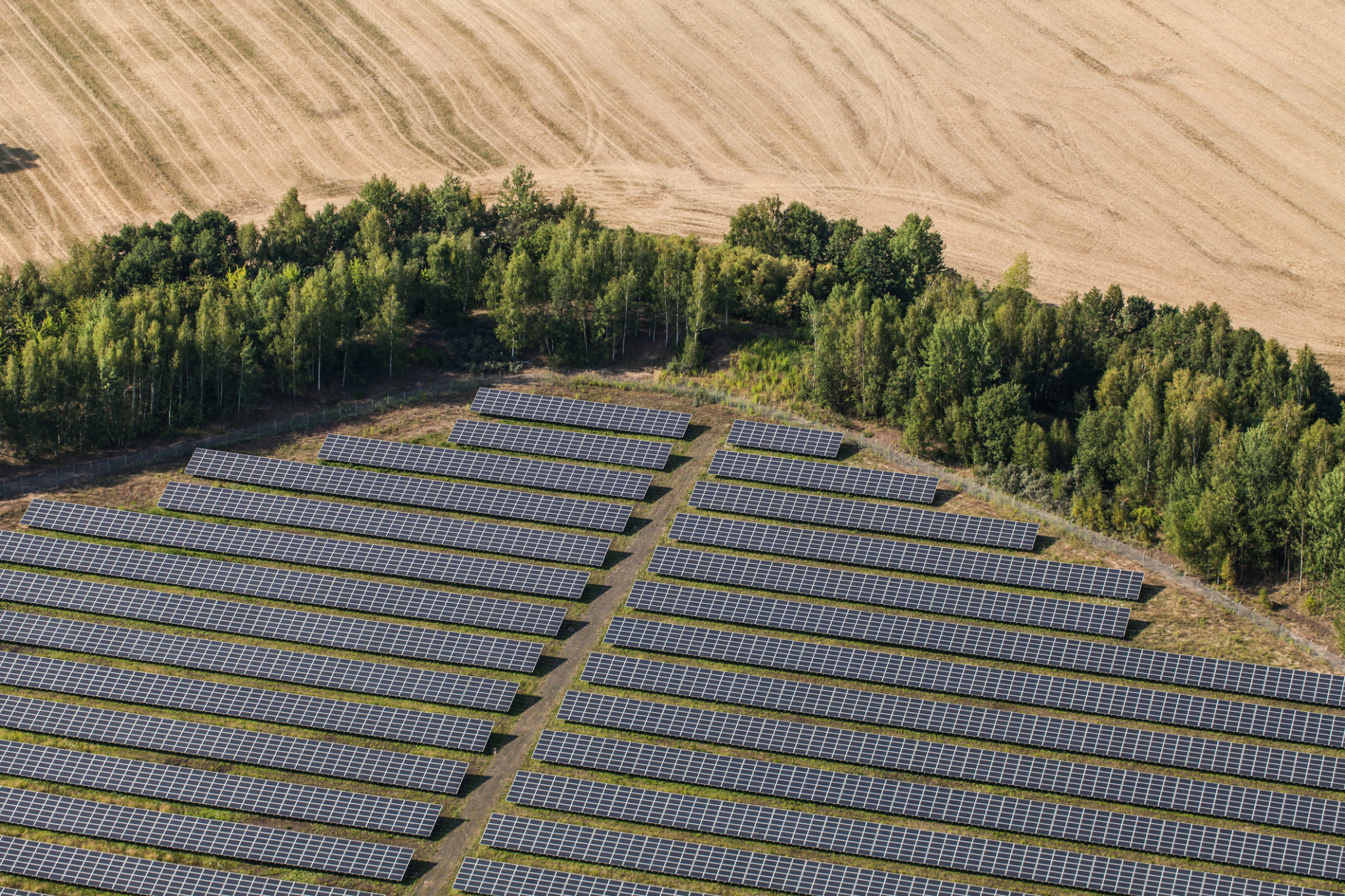 Distributed Solar Provides Real Savings to Customers