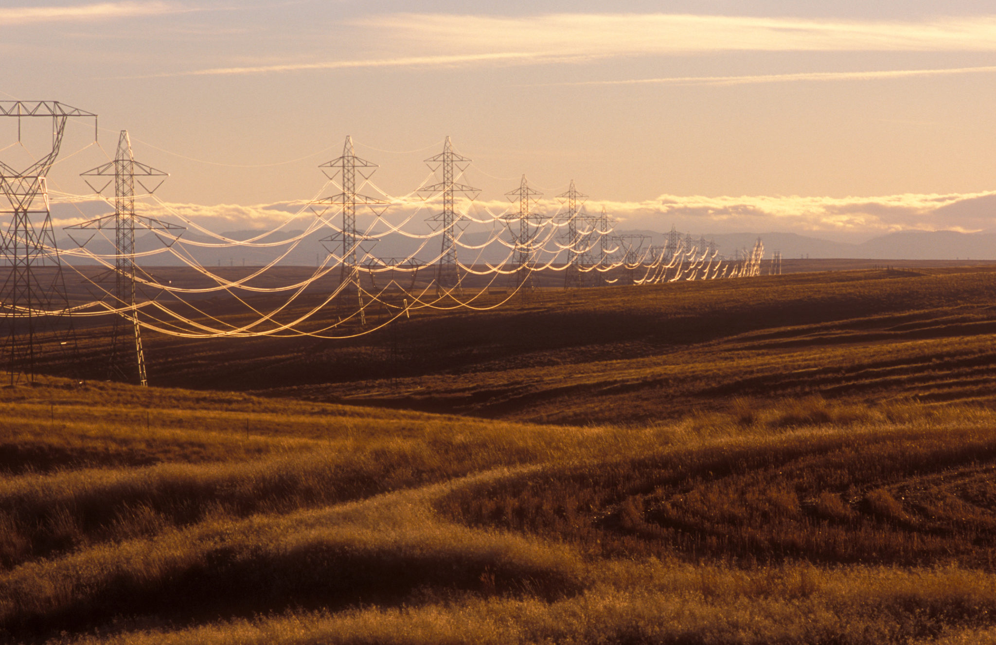 Expanding the Western Electricity Grid