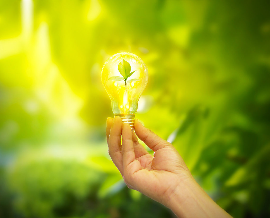 Critical Issues in Domestic Energy Vulnerability