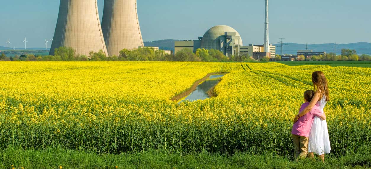 Nuclear Socialism