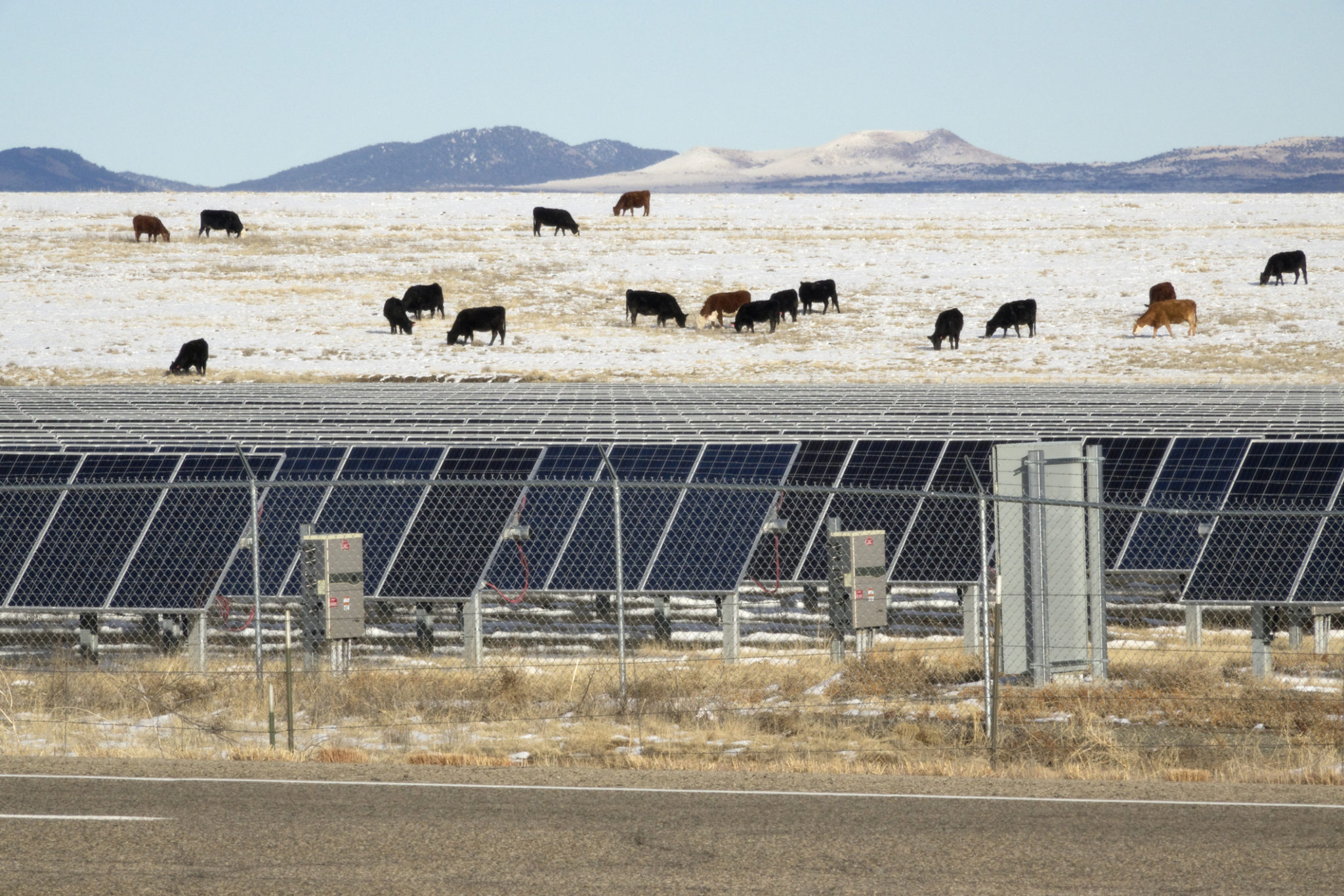 When Cheap Doesn’t Cut It: Why Energy Buyers Should Look at Value, not Just Cost