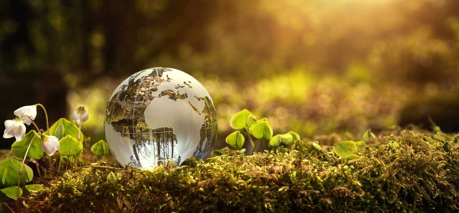 Proliferation, Oil, and Climate: Solving for Pattern