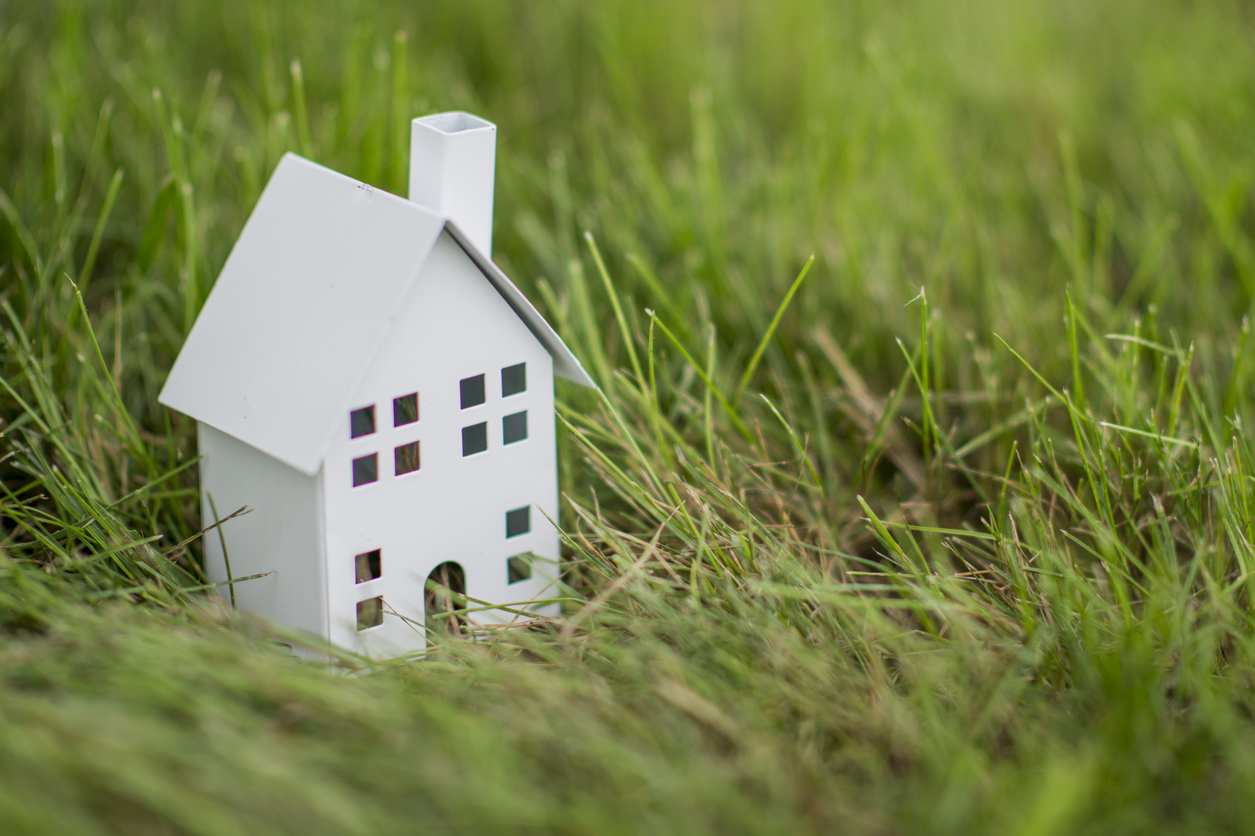 The Greening of Human Settlements
