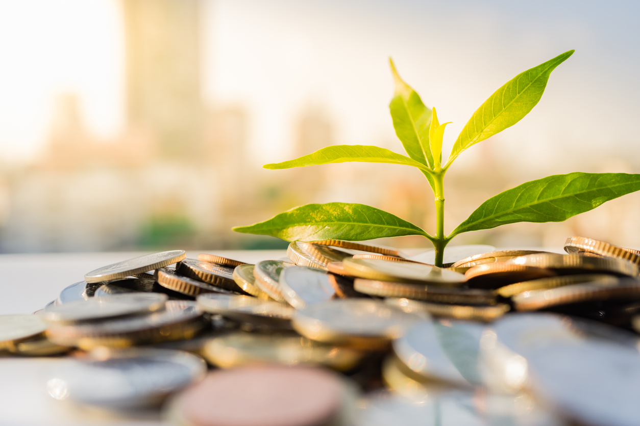 More Profit with Less Carbon
