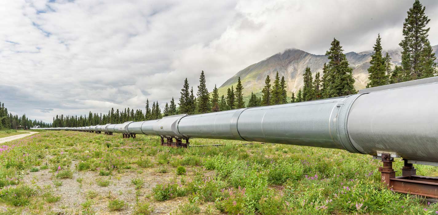 Energy: The Avoidable Oil Crisis