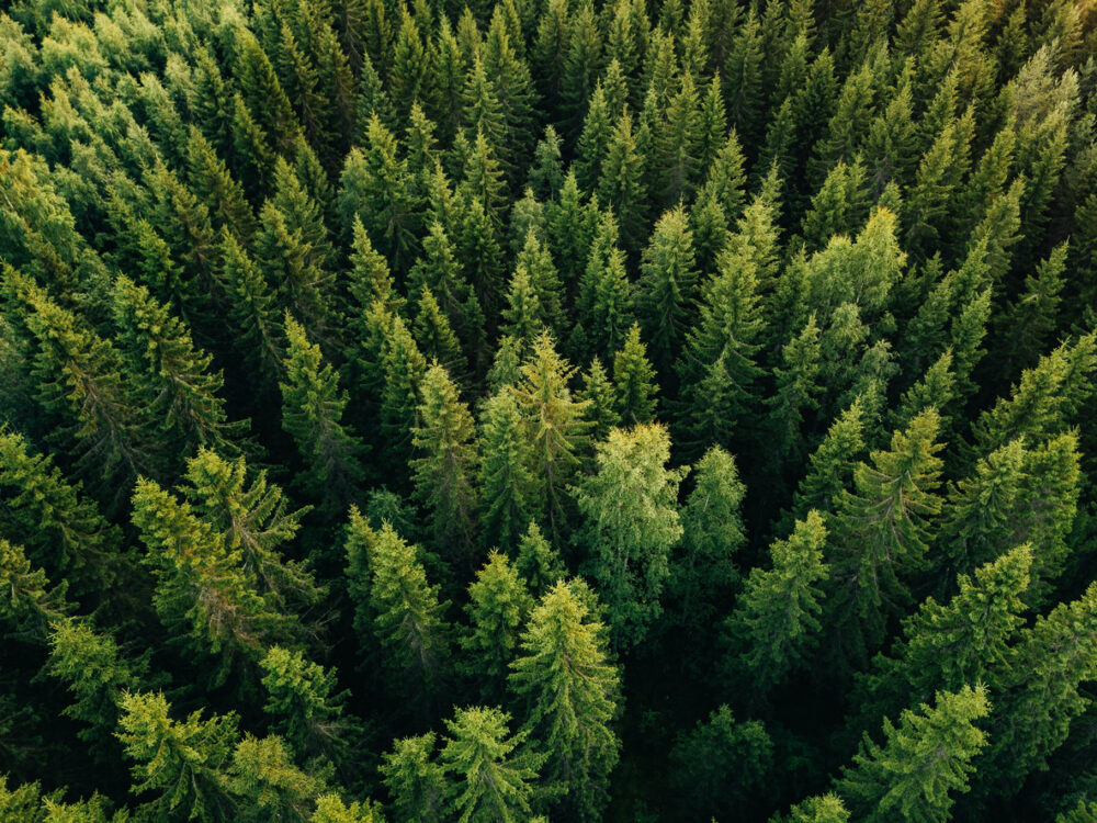 Climate & Environment