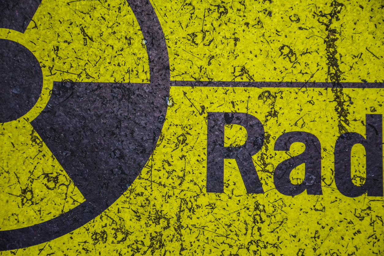 Nuclear Power: Economics and Climate-Protection Potential