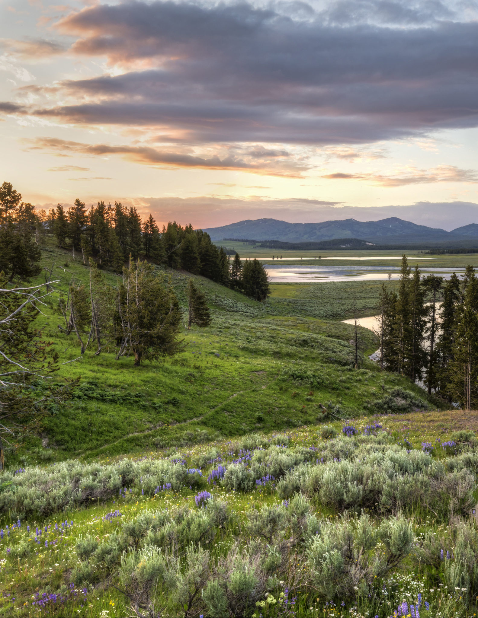 Connecting Western Co-op Members With Cost-Effective Clean Energy