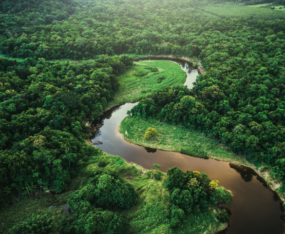 The Carbon-Free Regions Handbook: Land Use