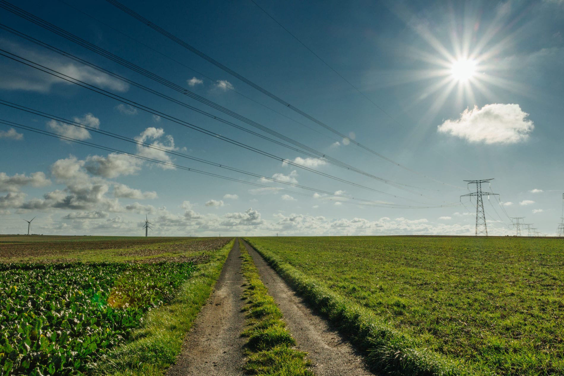 Envisioning the Rural Electric System of the Future