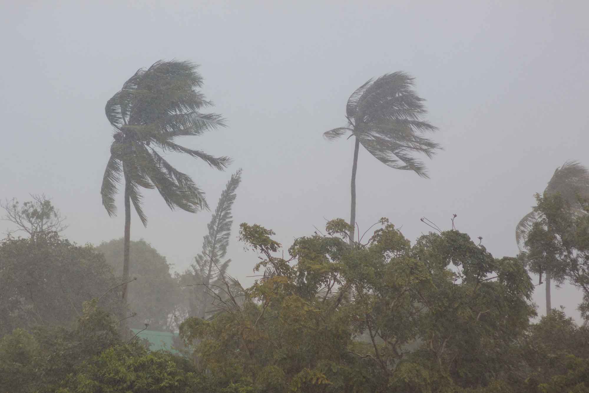 A Locally Led Move Toward Microgrids in Puerto Rico