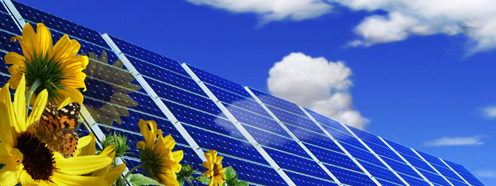 The Evolution of Rural Solar: from Panel Monocrops to Multiple Land Uses