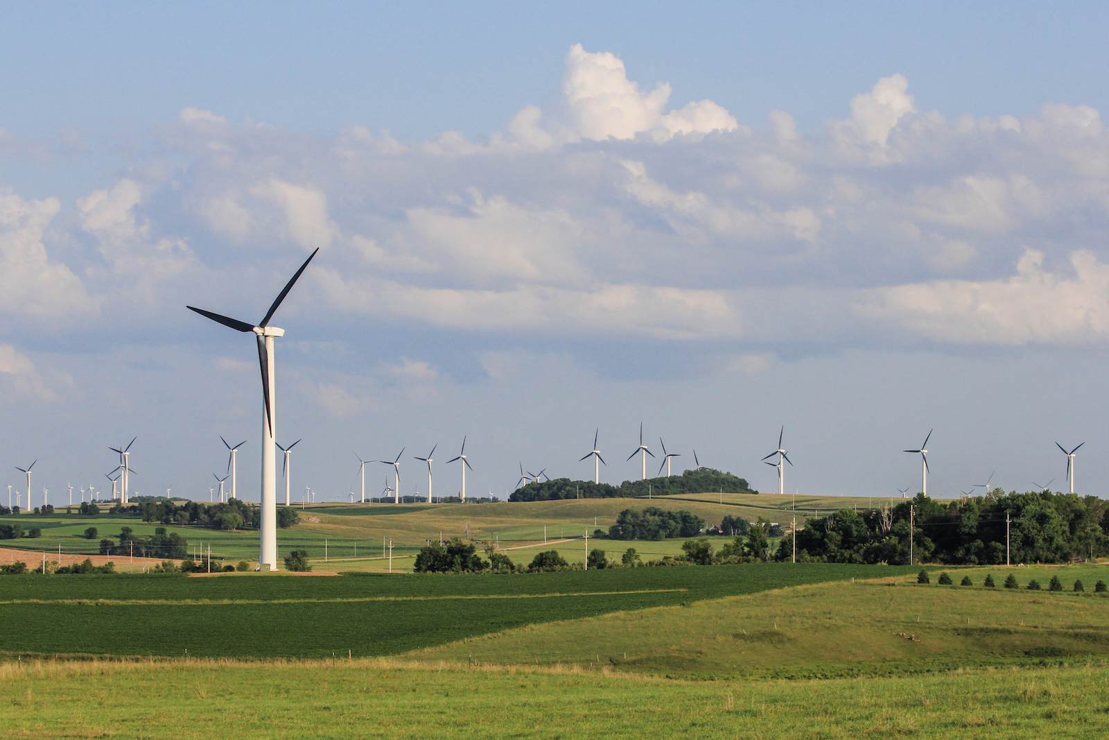 Lowering Costs and Carbon for Minnesota Co-ops
