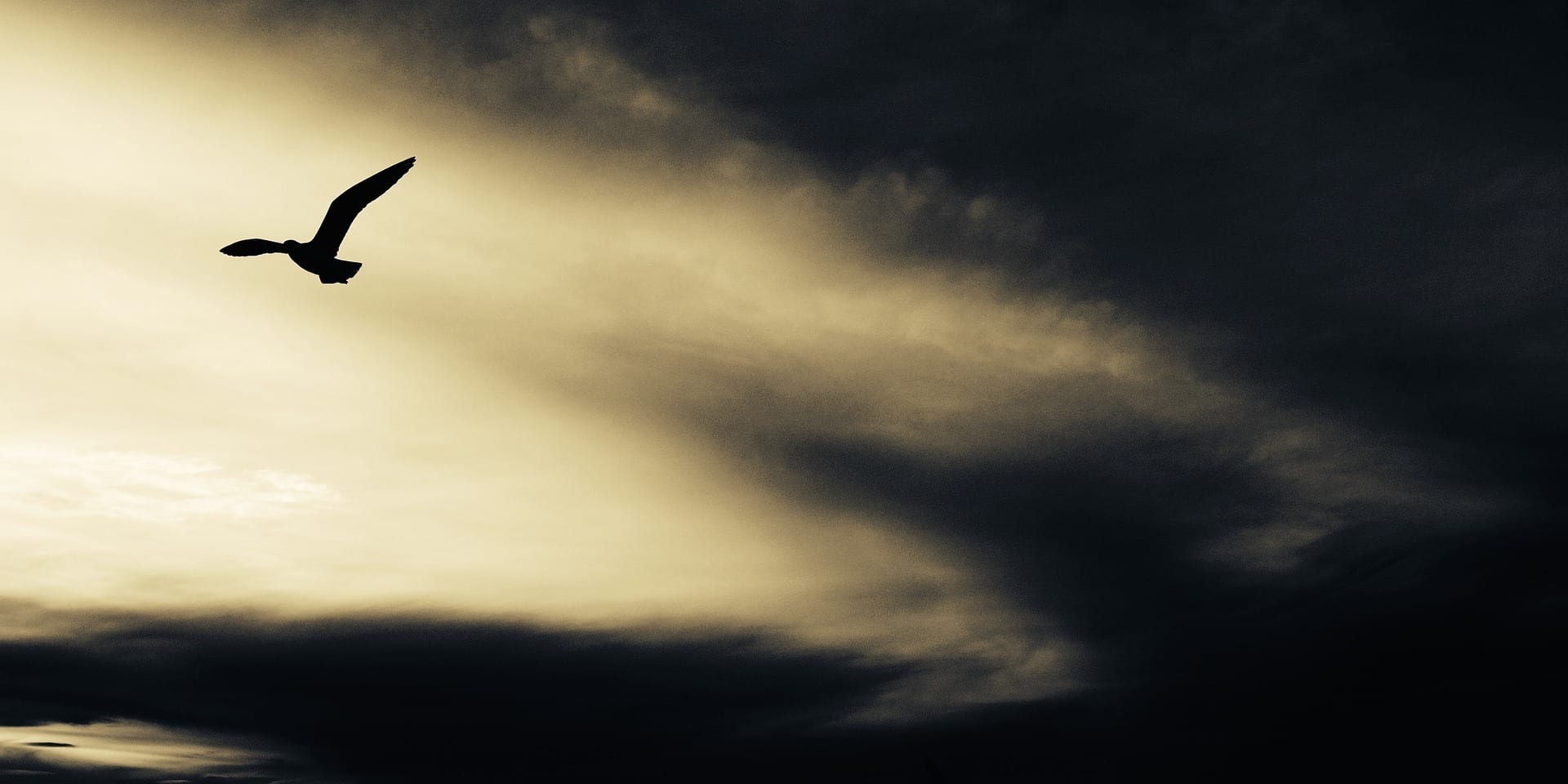 Five Tips for Utility Regulators: Staying on Course through the COVID-19 Storm