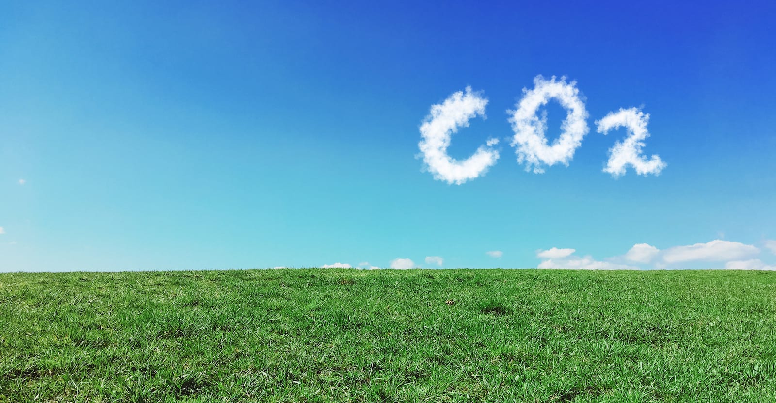 Carbon Dioxide Removal