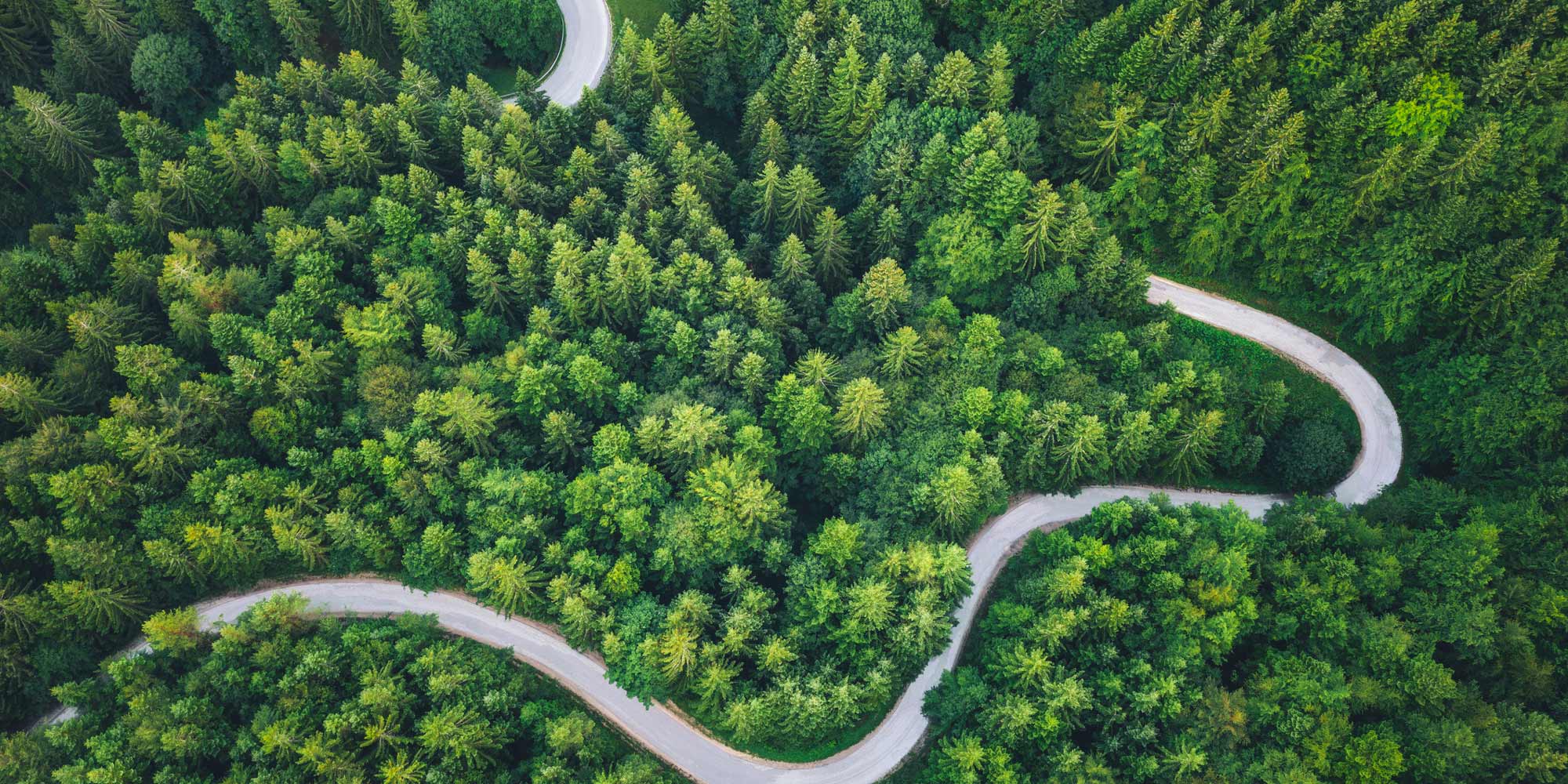 Regulatory Solutions for Building Decarbonization