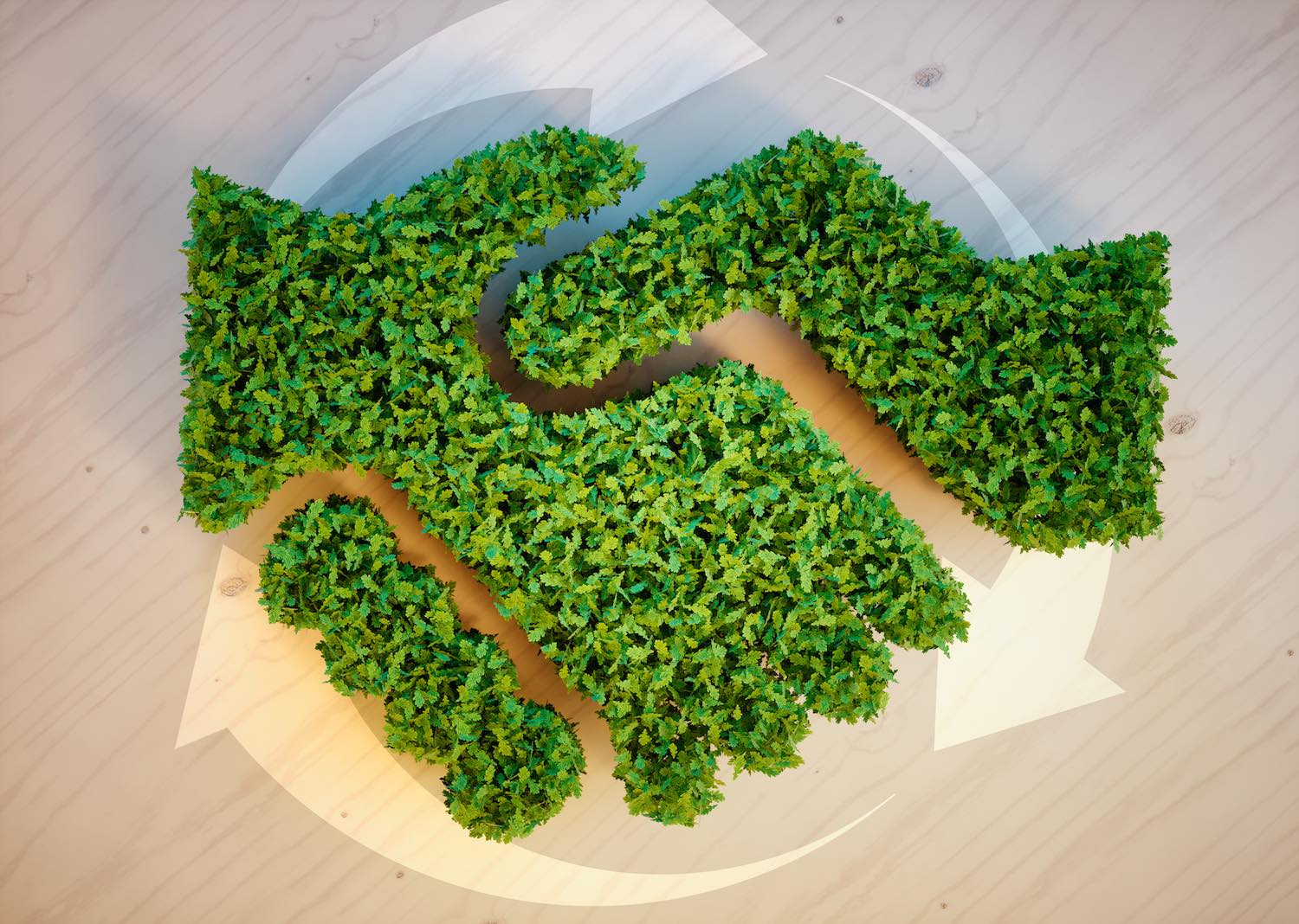 Banks and Climate Action: Taking Stock of Recent Commitments