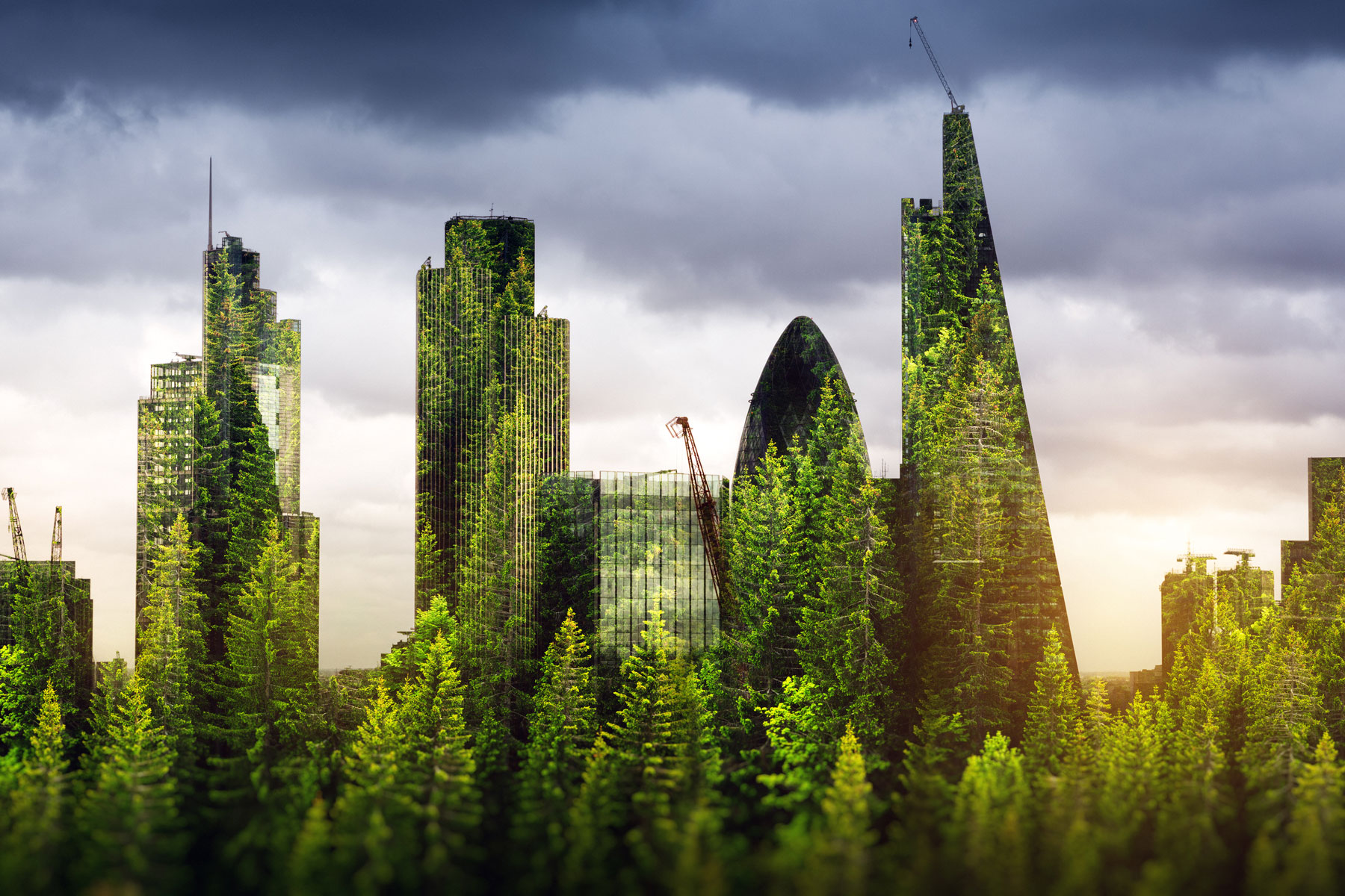State of Green Banks 2020