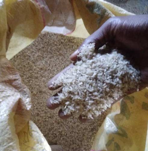Milled rice.