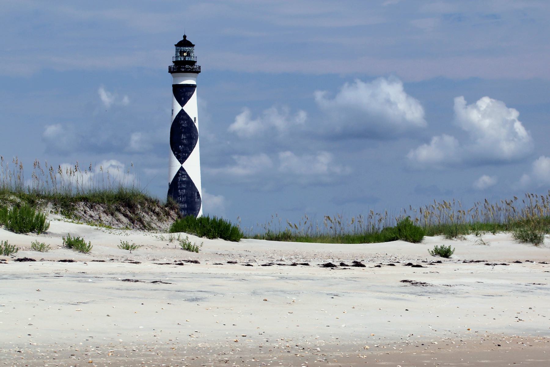 North Carolina Advances Its Clean Energy Transition Despite Challenges of 2020