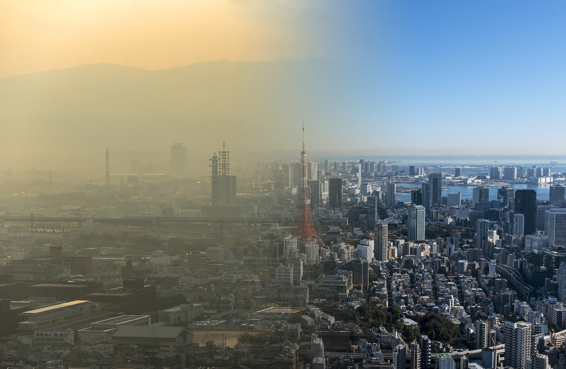 Bringing Back Clean Air
