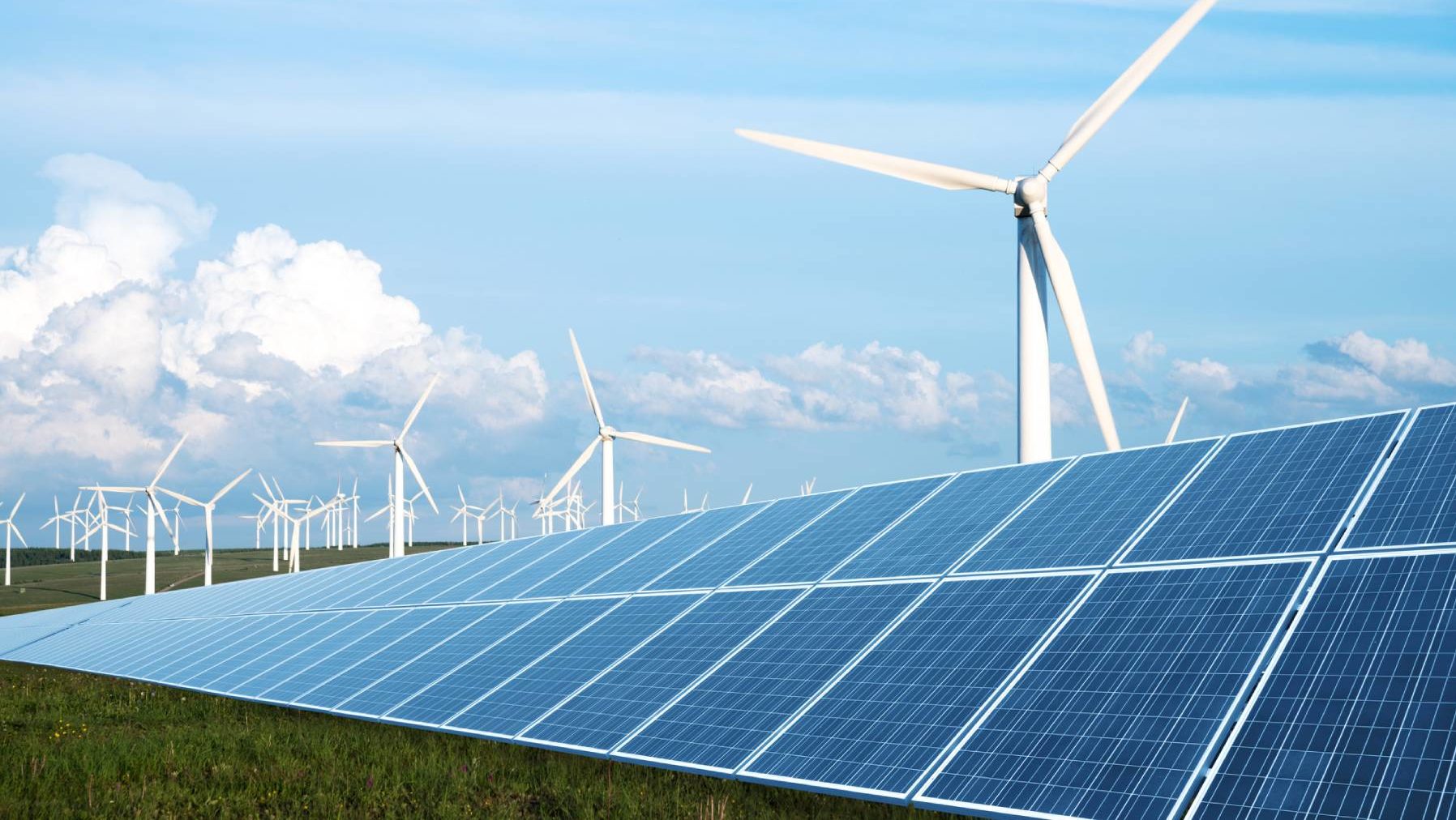 Decarbonizing Our Toughest Sectors—Profitably
