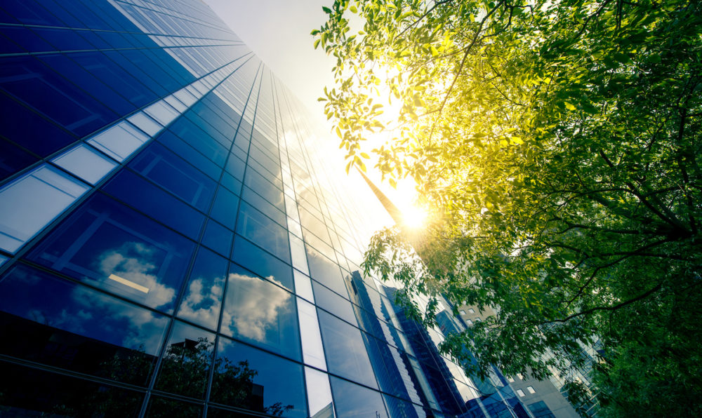What We’re Learning about Corporate Climate Ambition