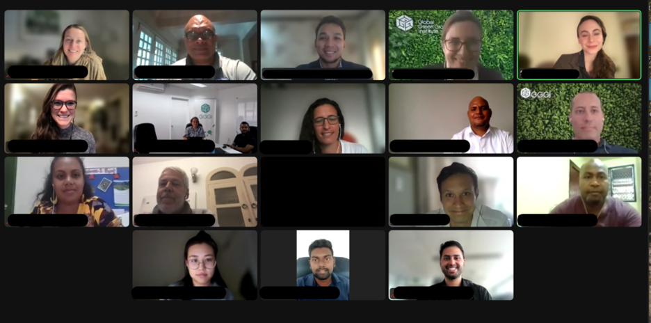 CFAN advisors attending a virtual training