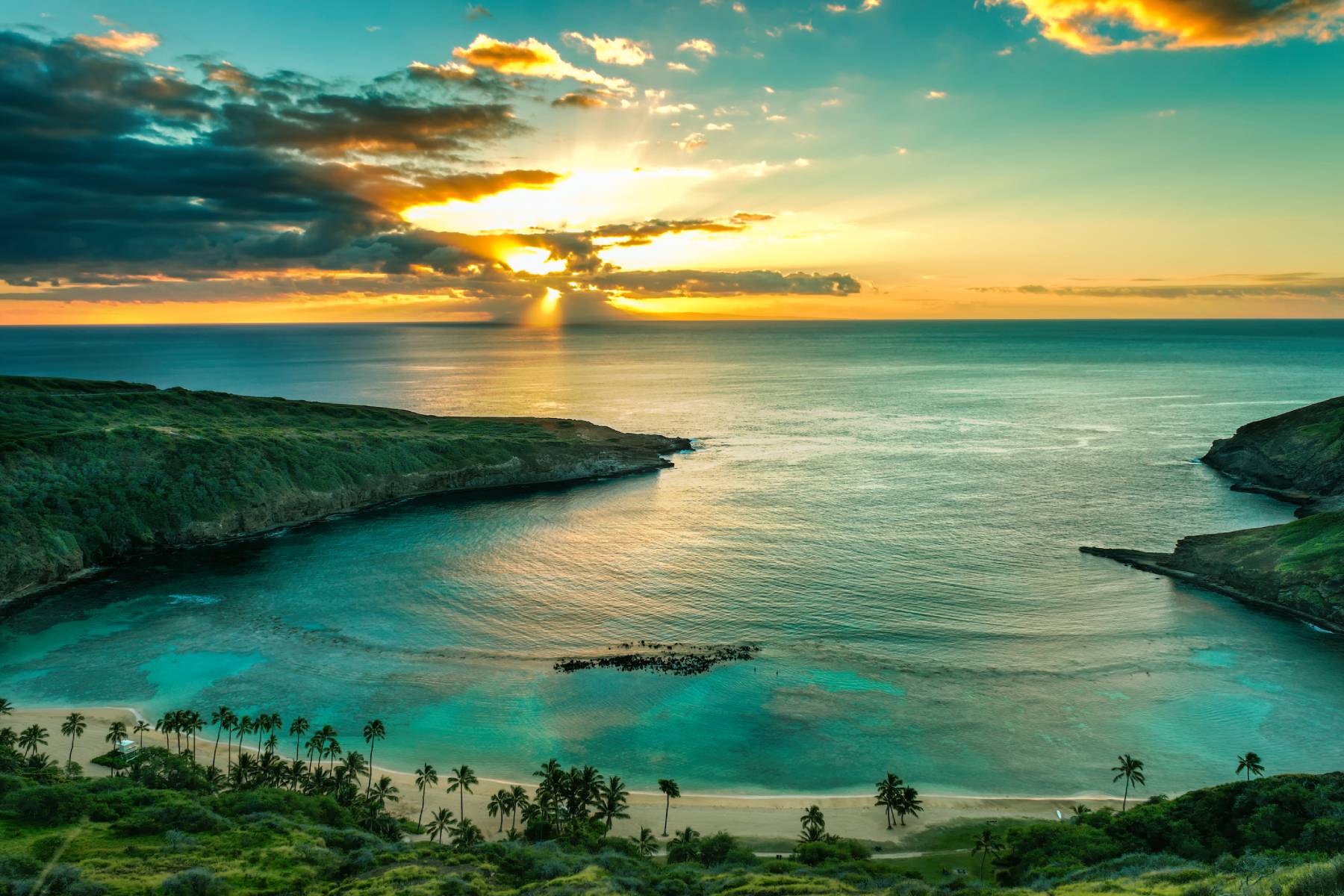 Shining a Light on Utility Performance in Hawaii’s Clean Energy Transition
