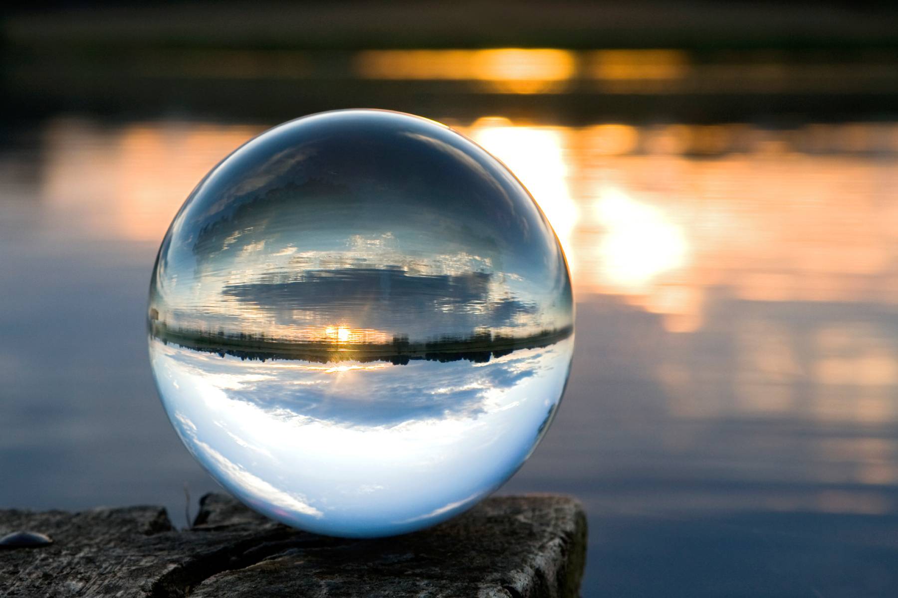 The Future of Climate Reporting: Alignment, Impact, and Risk