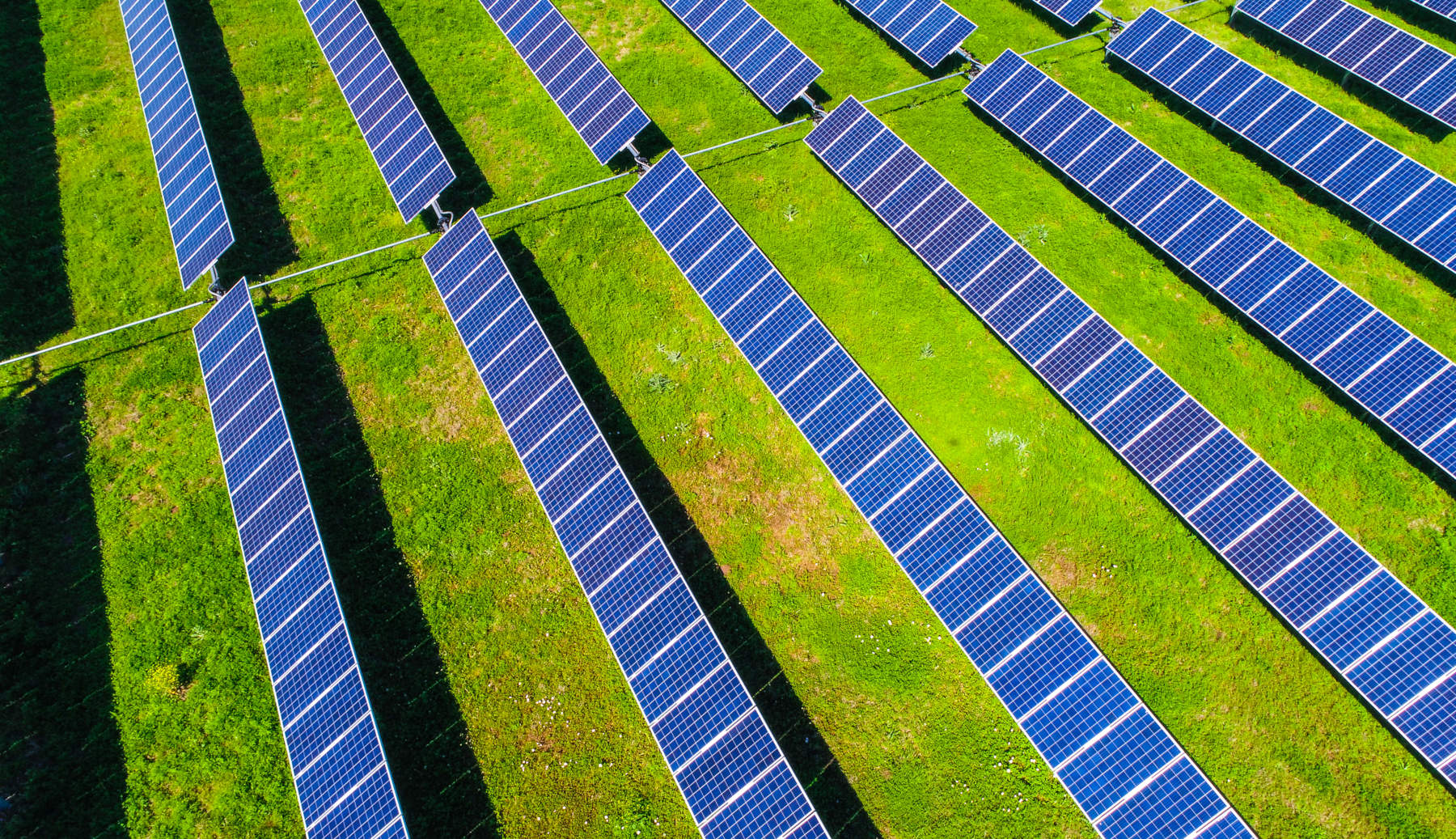 The Solution to Grid Reliability? Go Bigger and Bolder on Renewables and Energy Storage