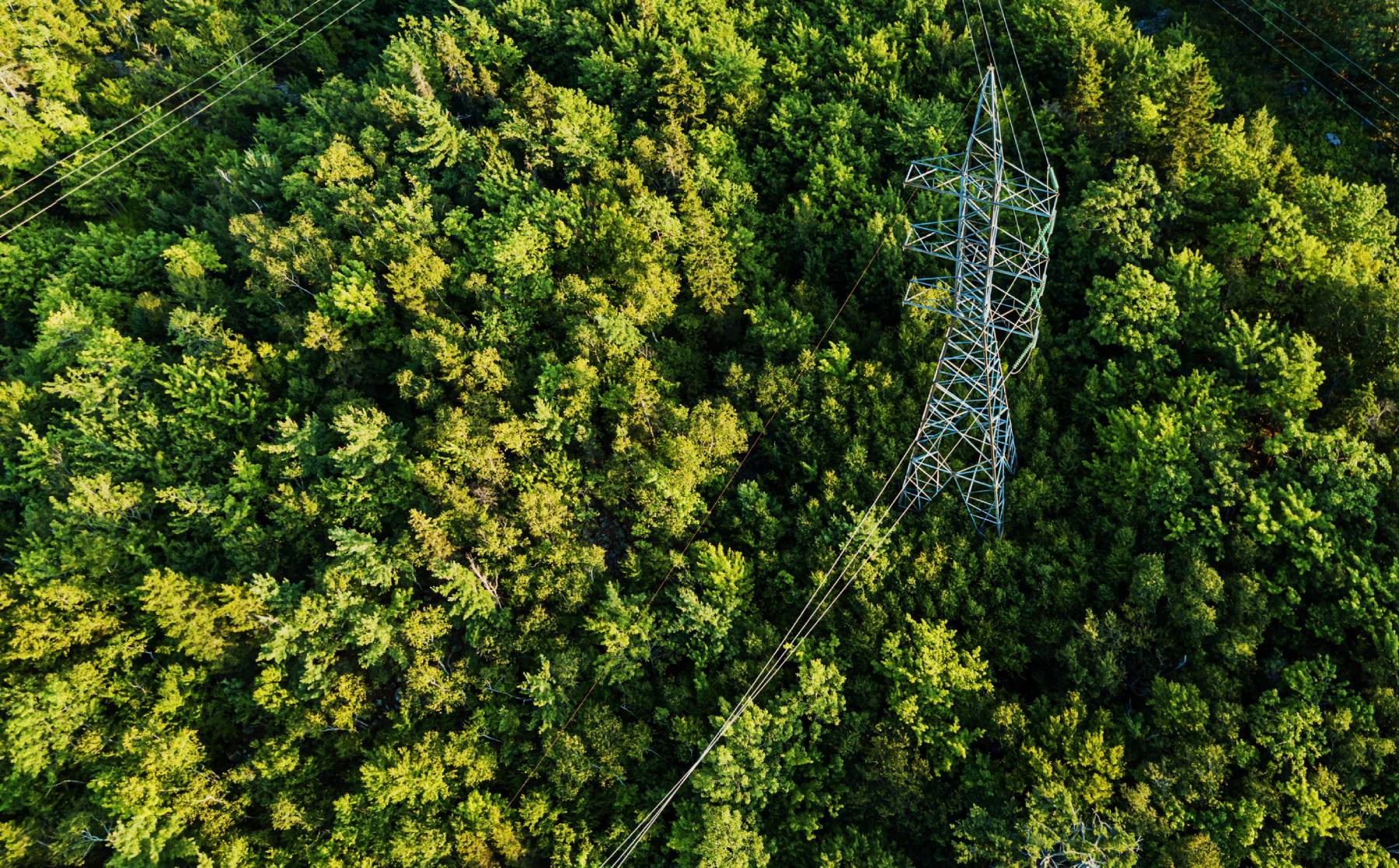 Power Market and Pricing Mechanism Reform in China: A Vital Step Toward Zero-Carbon Electricity Growth and New Power System