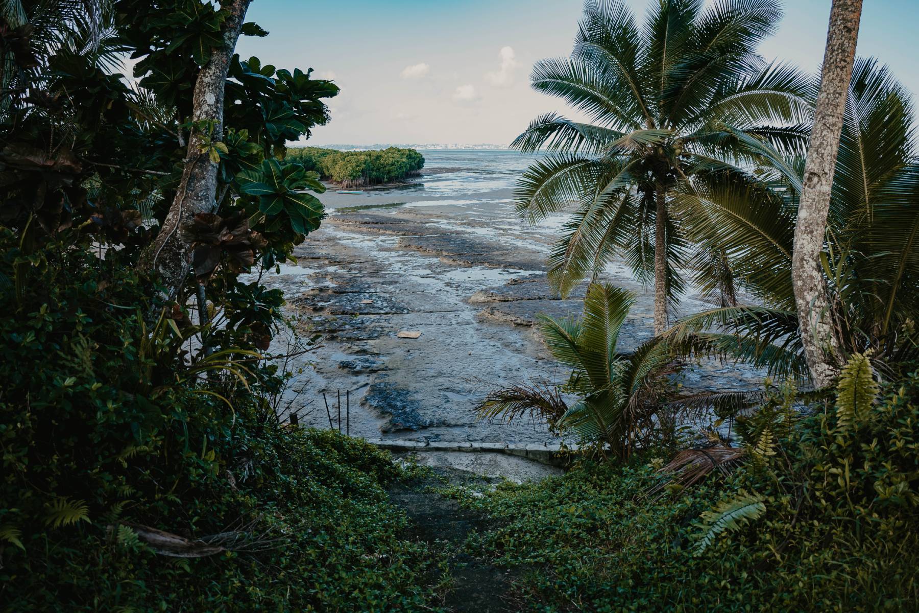 Climate 101: NCQG, The Key Climate Goal Behind the Acronym