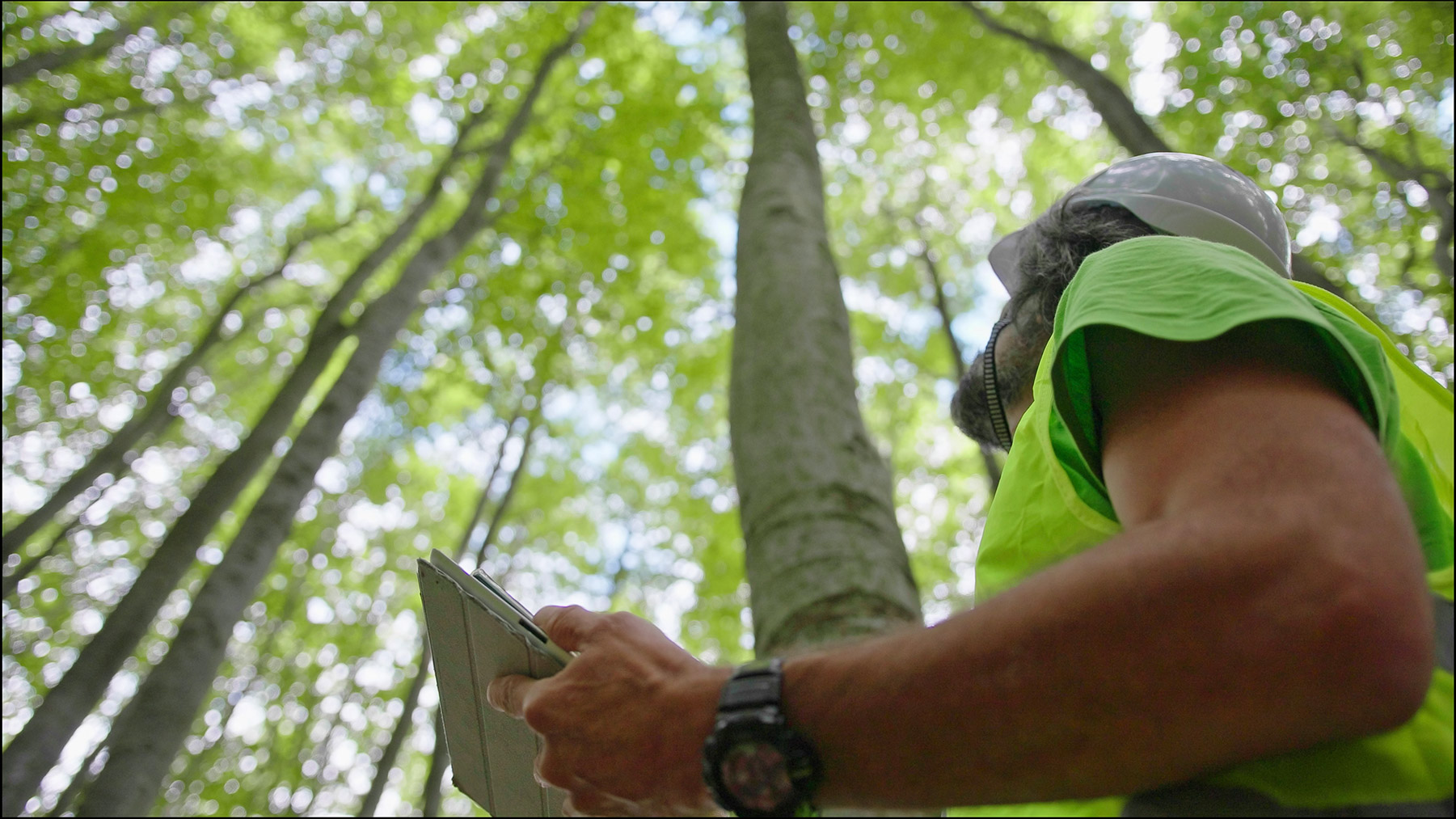 Realizing the Green Jobs Promise