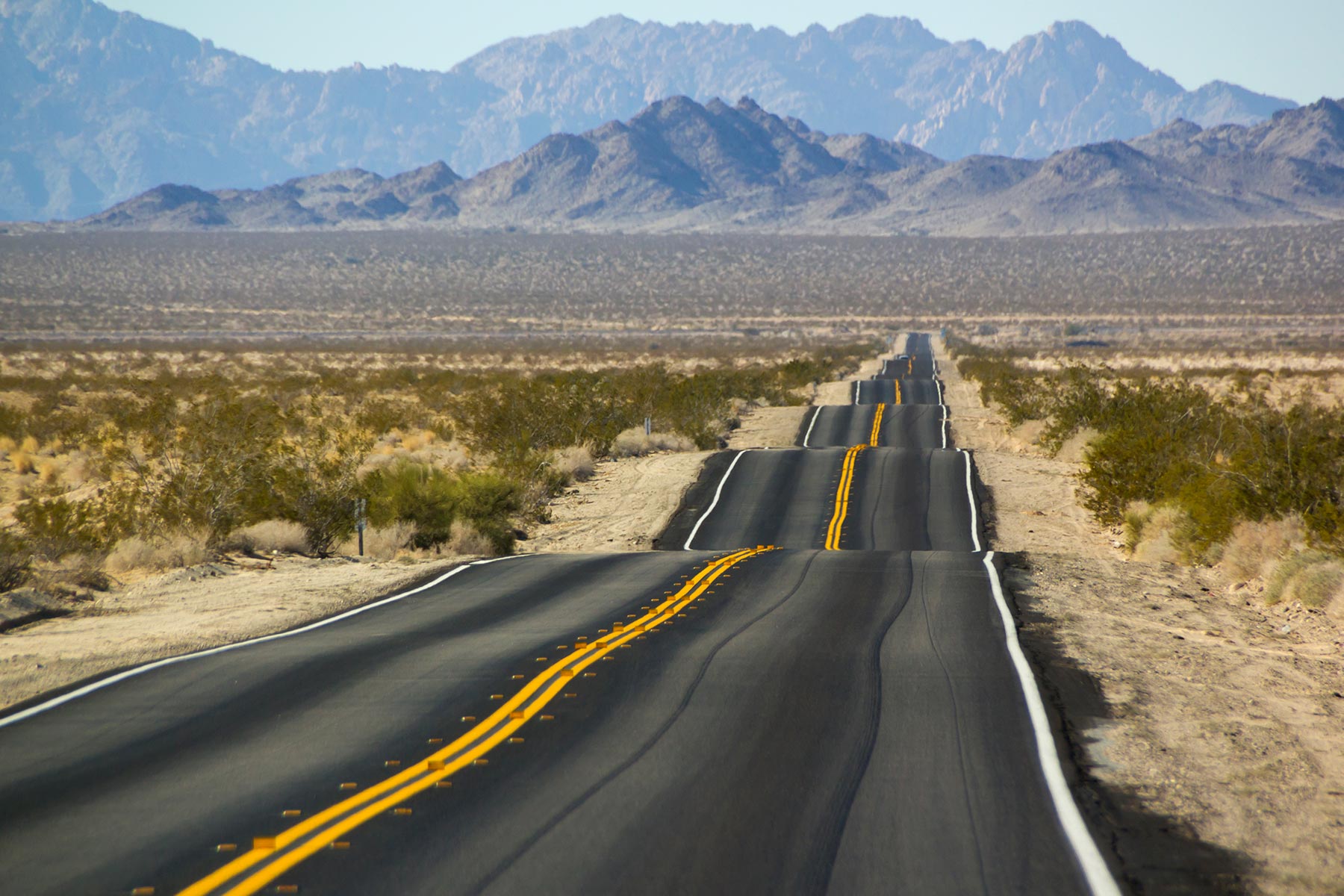 Navigating the Financial Industry’s Blurred Lines Between Climate Commitments and Greenwash