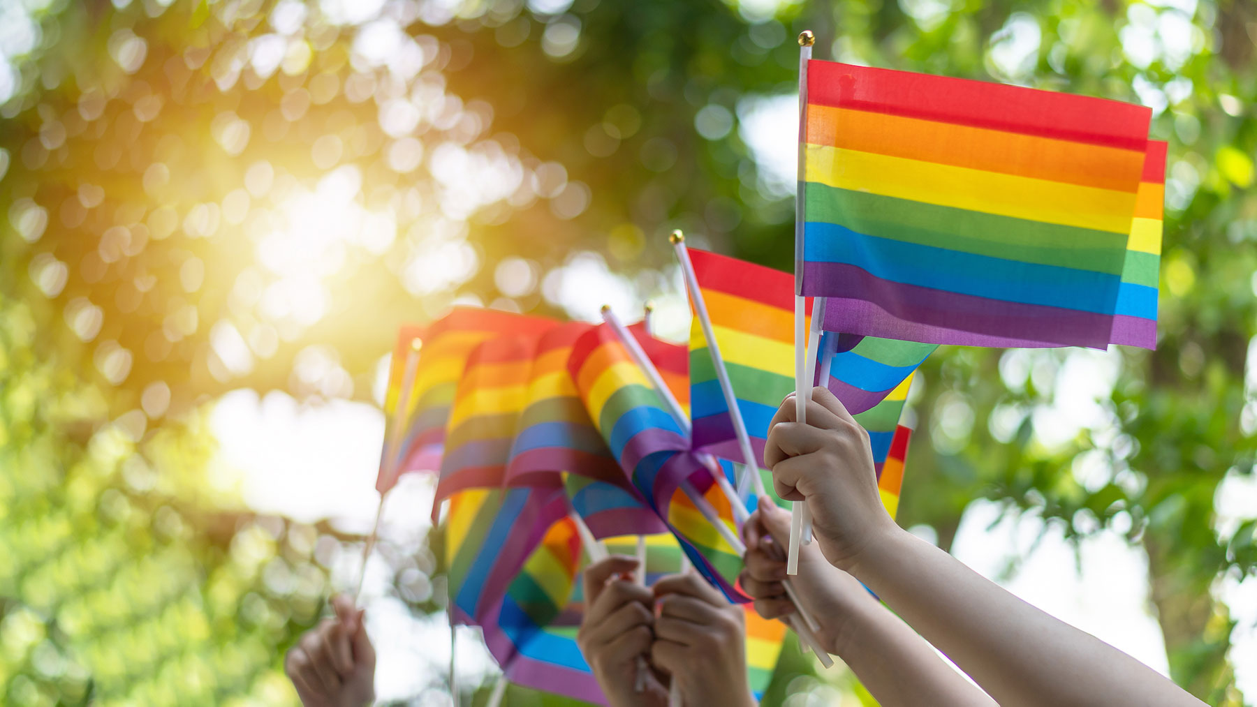 Driving Climate Action with Pride