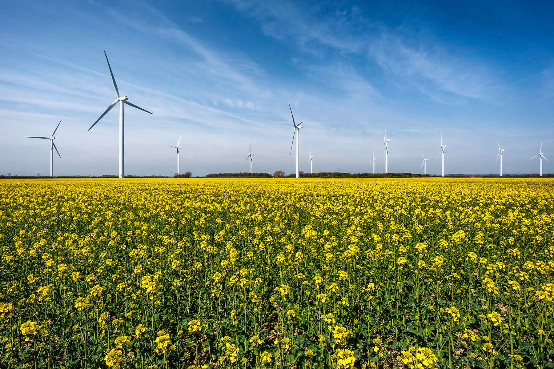 Institutional Investors Can Make the Climate Transition Bloom in Latin America