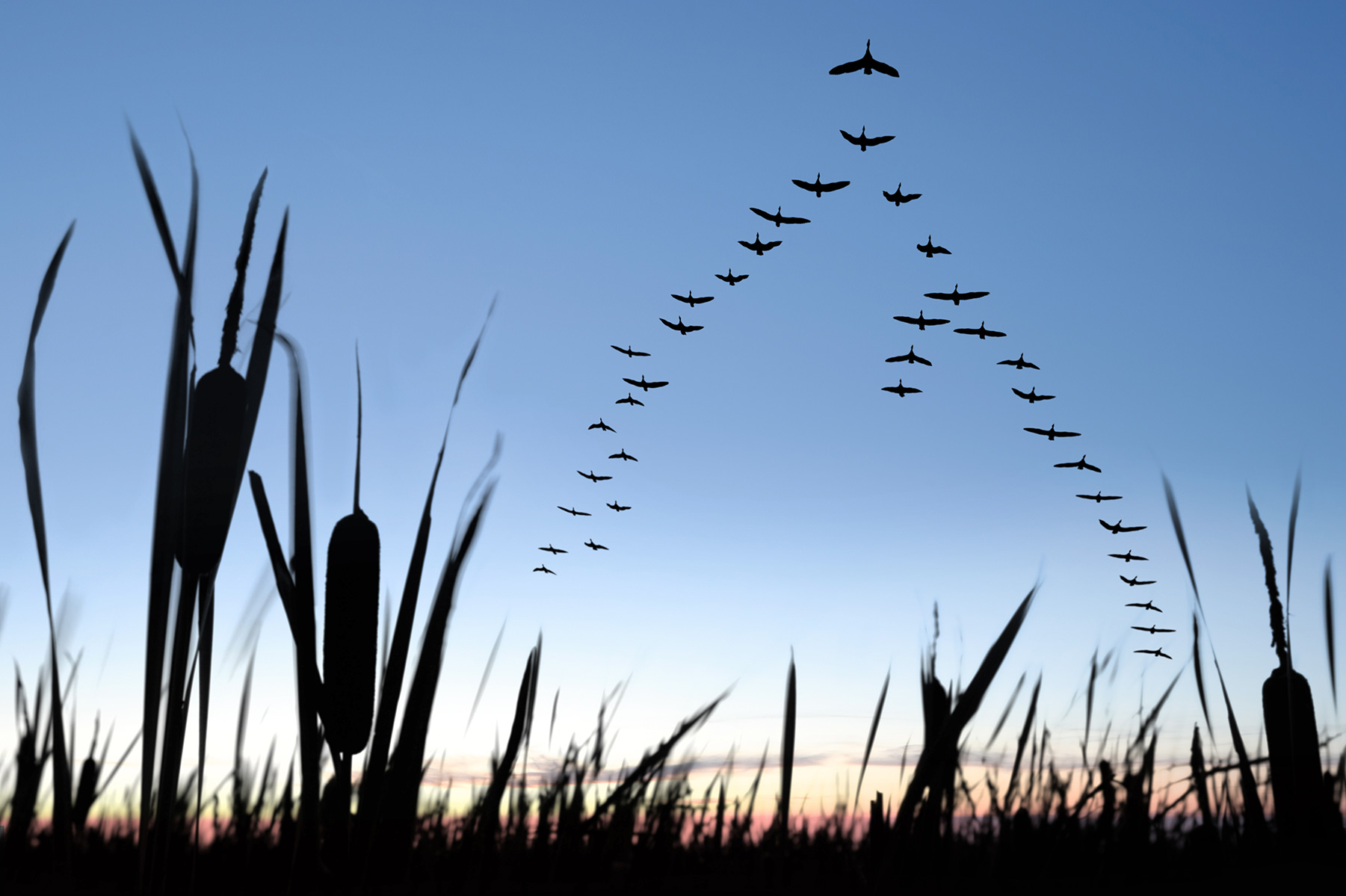 Emergence Strategy: A Systems Approach to Corporate Climate Action