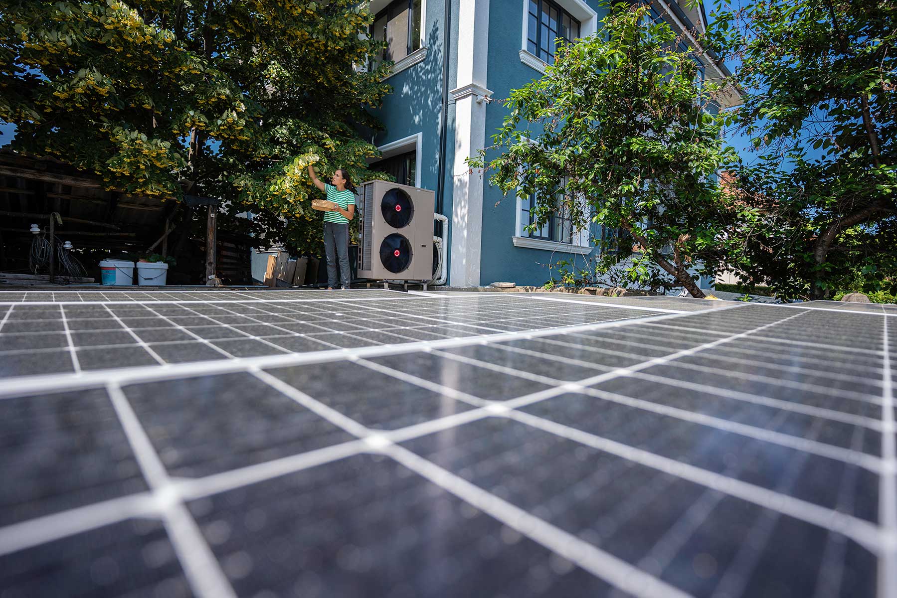 State-Level Building Electrification Factsheets