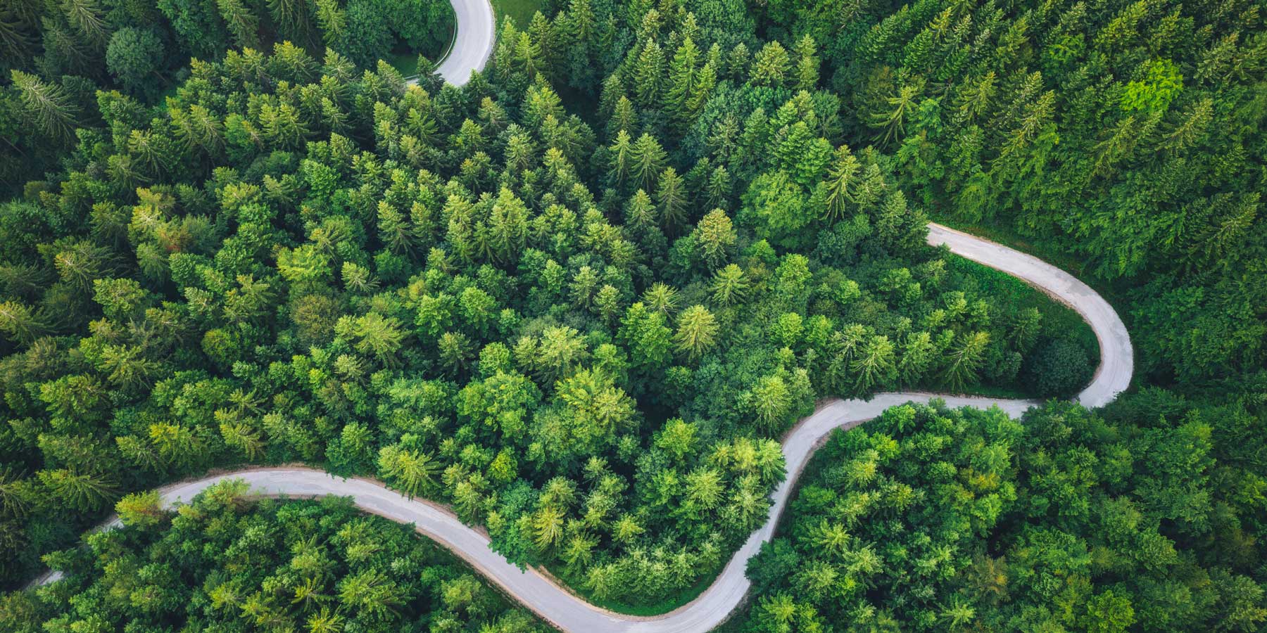 Transition Pathways Repository