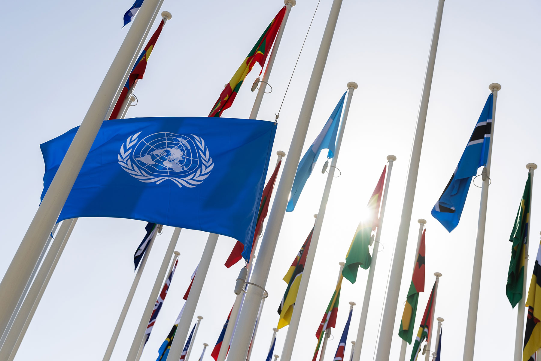 COP28: What Worked, What Didn’t, and What Next?