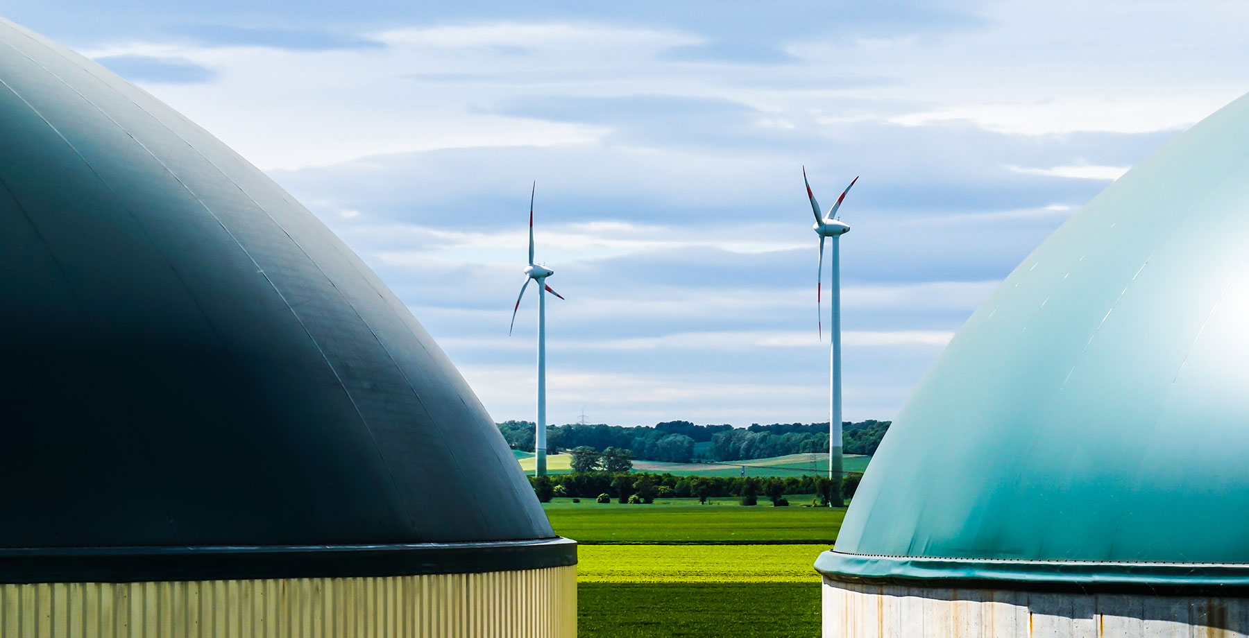 Biomethane Industry Outlook under the Carbon Neutrality Goal