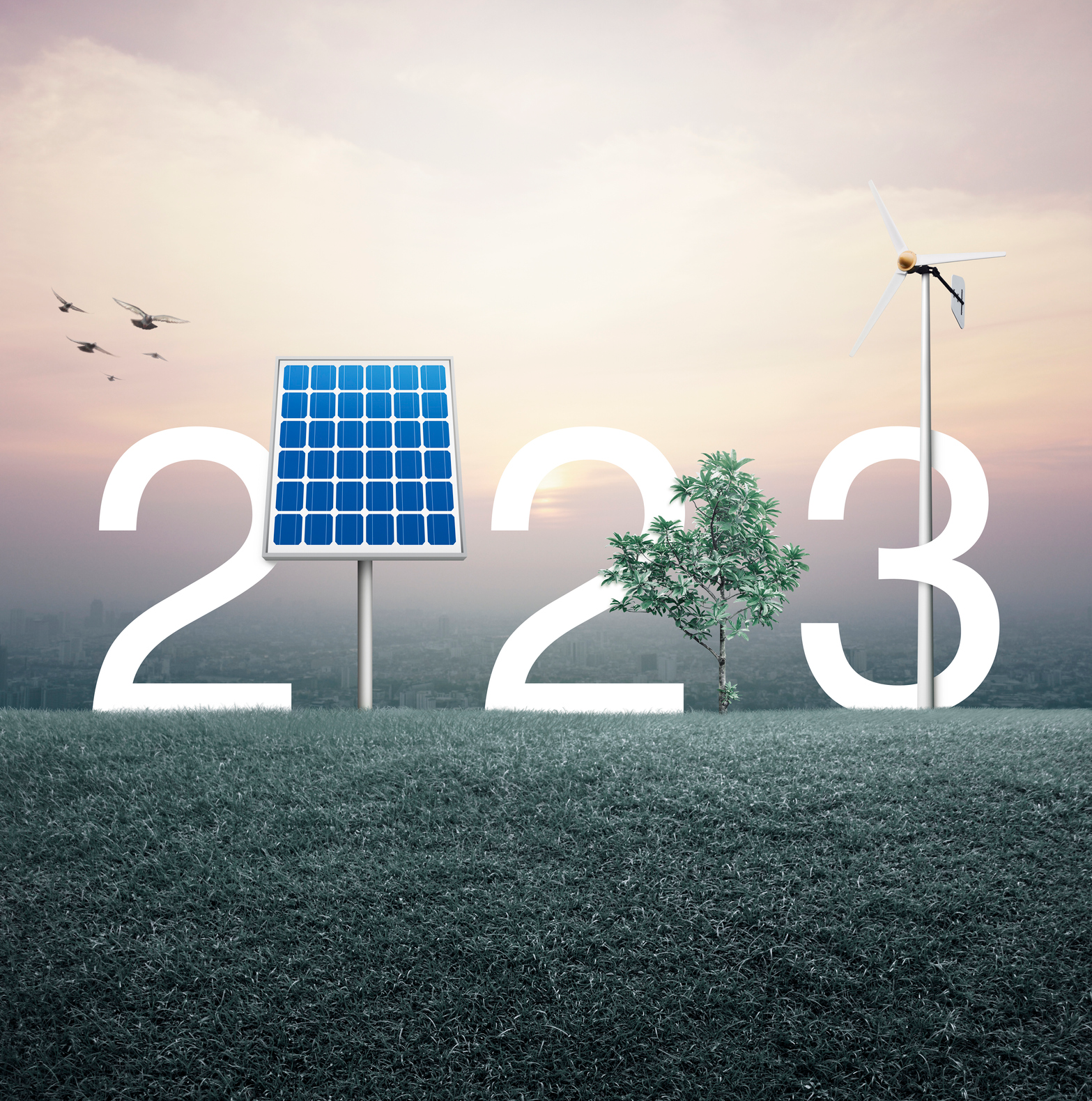 The Renewable Revolution Continues