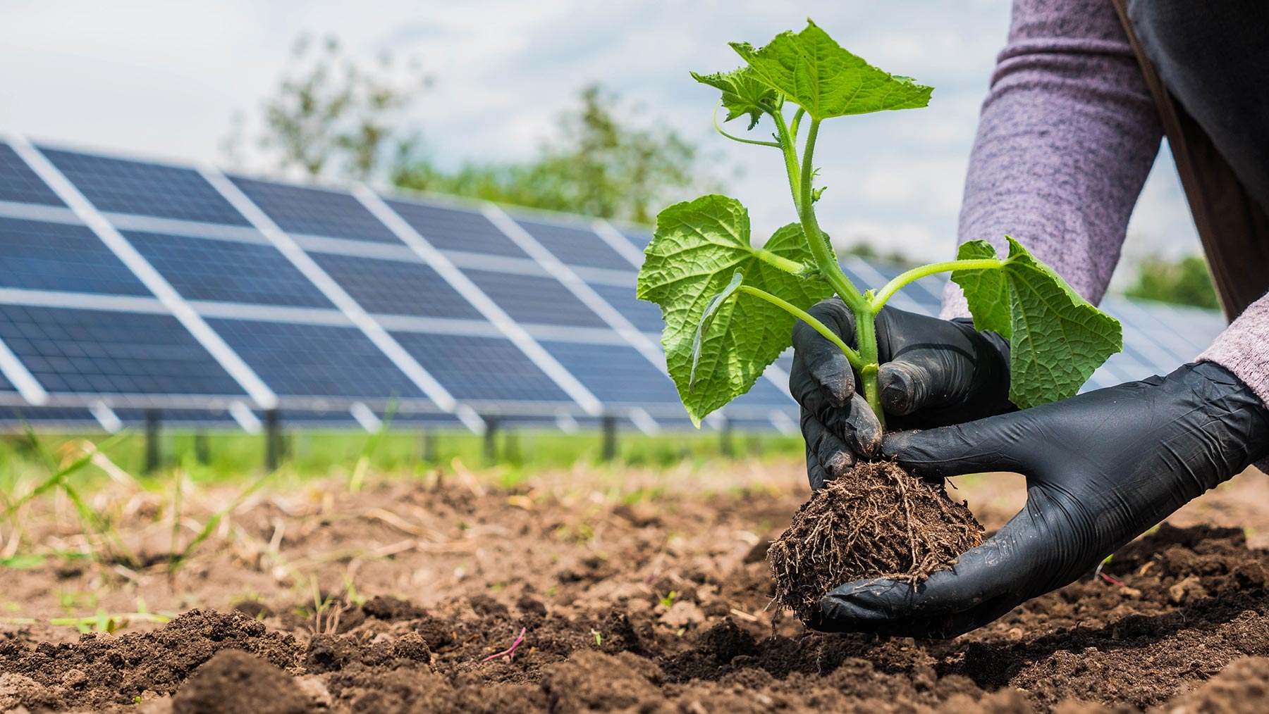 Will the Long Over-Due Inclusion of Food Systems Come to Our Climate Rescue?